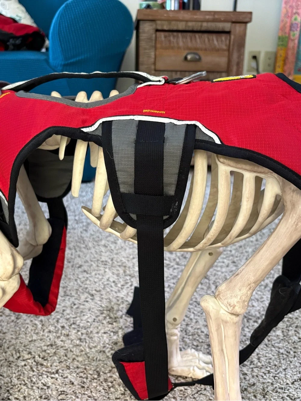 Ruffwear 5-point Webmaster Dog Harness with handle